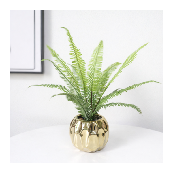 Planta c/maceta  ceramica 40 cm  4022