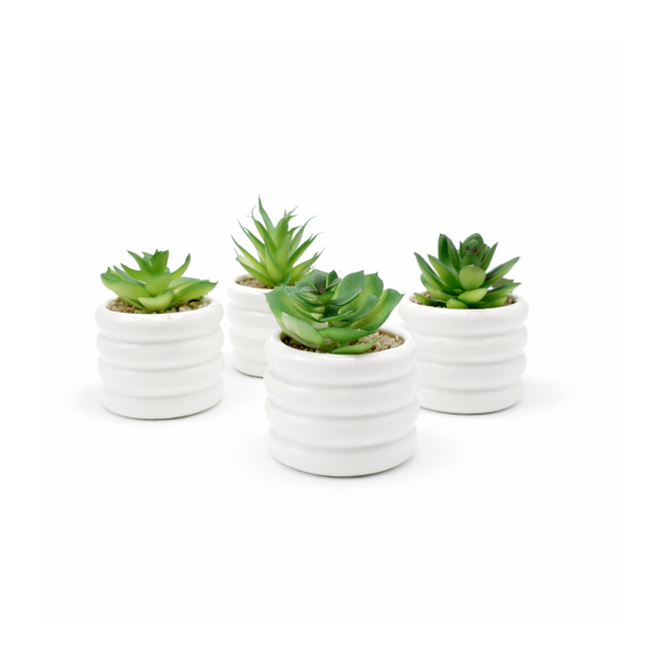 Planta artificial suculenta 10*5 4152