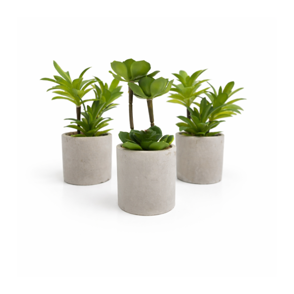 Planta artificial suculenta c/maceta 18*8 4181