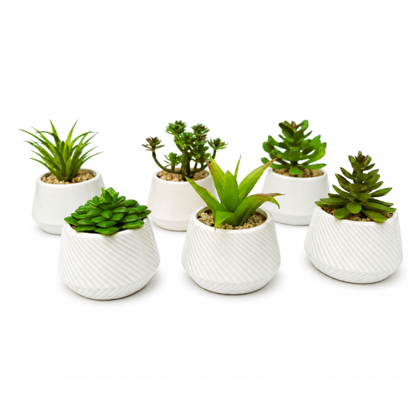 Planta artificial suculenta 8*6 5070