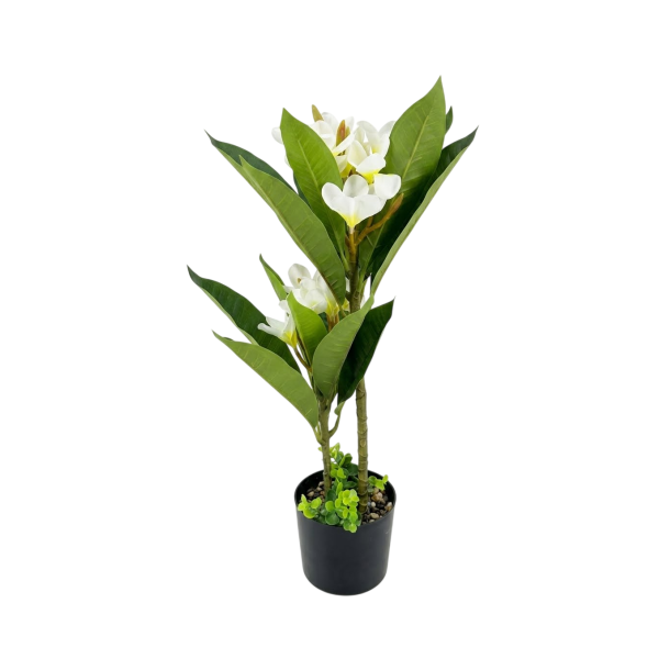 Planta maceta arbol c/flores  60cm 5223