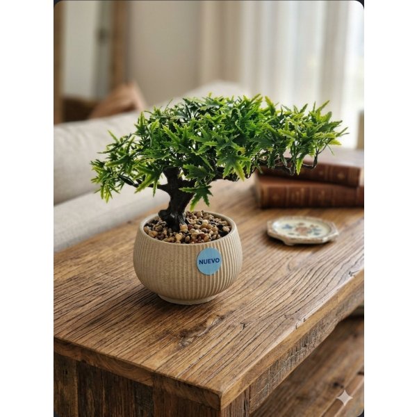 planta bonsai  arbolito 20*10*10 2605