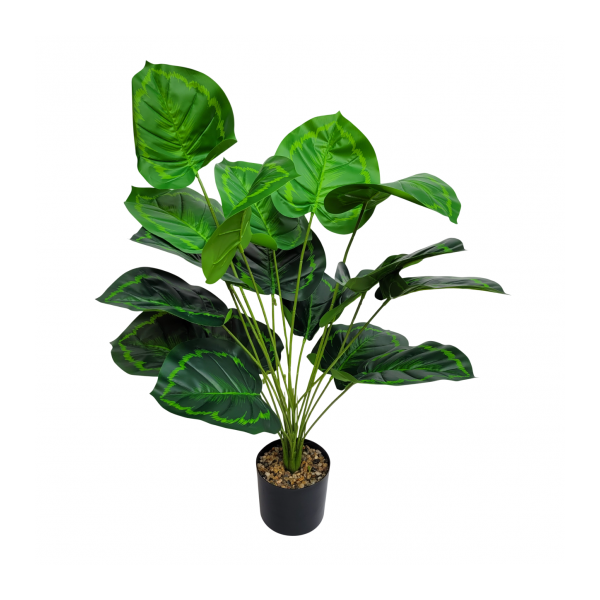 planta arbol 2764 golx 