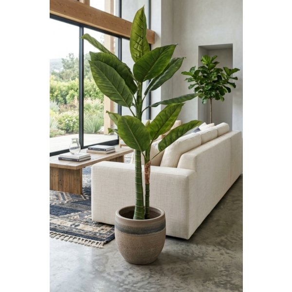 Planta Arbol 210 mts 4460