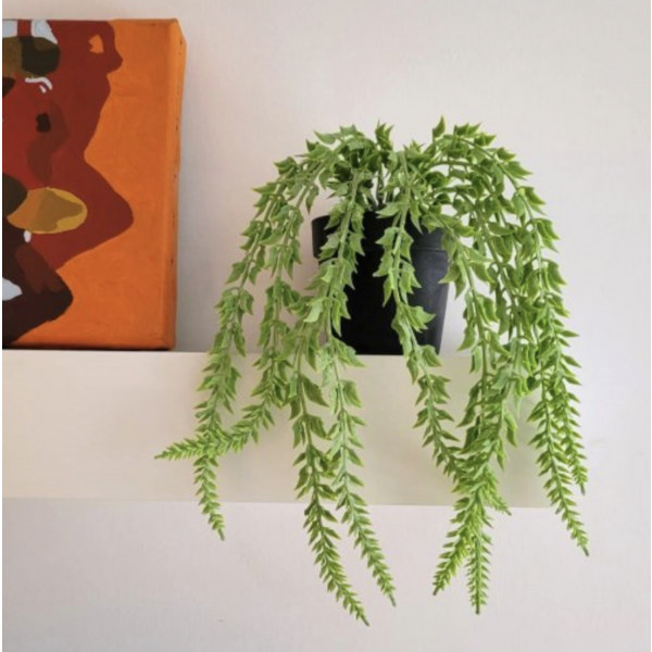 planta colgante  1780