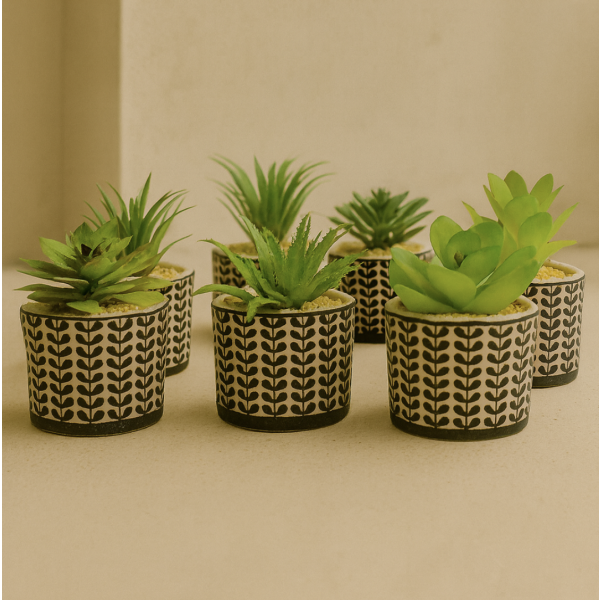 Planta maceta suculenta 4154