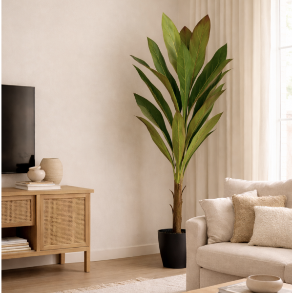 Planta maceta árbol 1.65 mts  