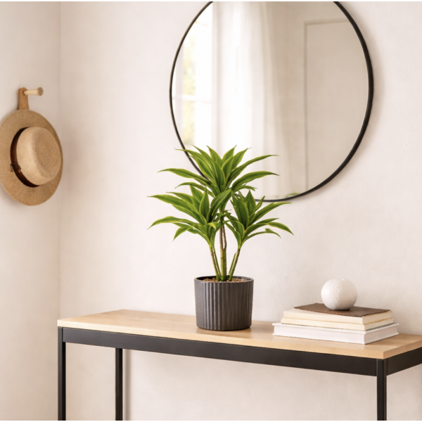 Planta maceta arbol 50 cm 3462