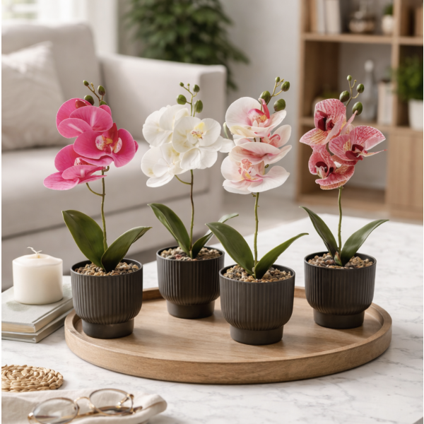 Planta maceta fucsias 2744