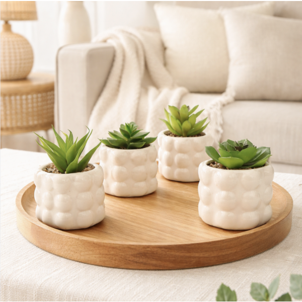 Planta artificial suculenta 14*7   4167