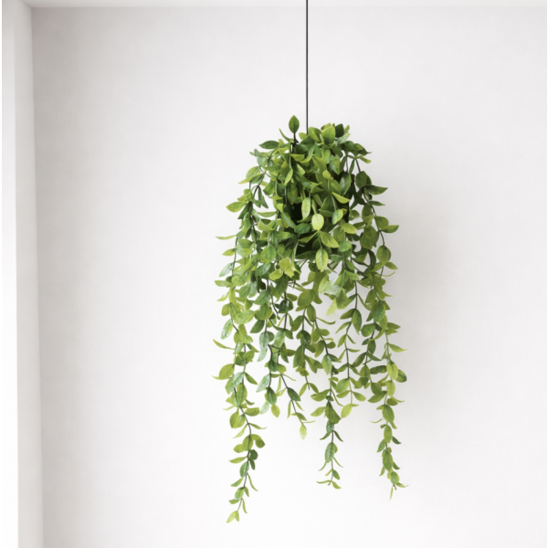 Planta colgante 60' 4080