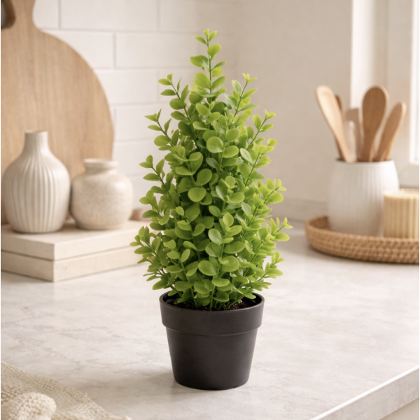 Planta maceta arbolito 35' 3549