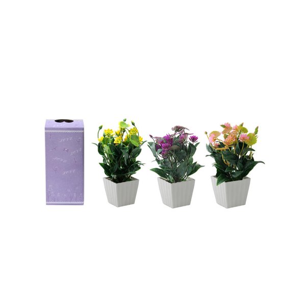  planta deco 20 cm 2401 Blanca