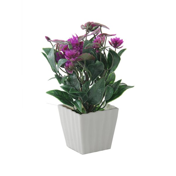 Planta deco 20 cm 2401 Violeta 