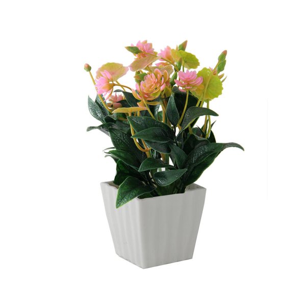 Planta deco 20cm 2401 Rosa 