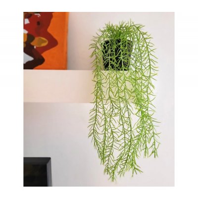 Planta colgante 50cm 1776 golx