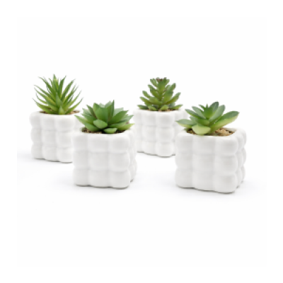 Planta artificial suculenta 12*6 5047