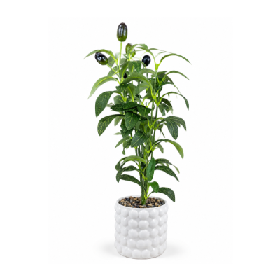 Planta maceta arbol 35cm 5228
