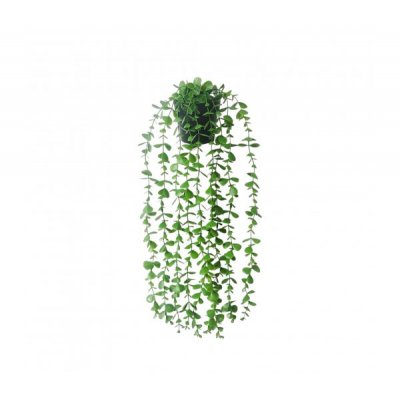 planta colgante c/ maceta 60 cm 2740