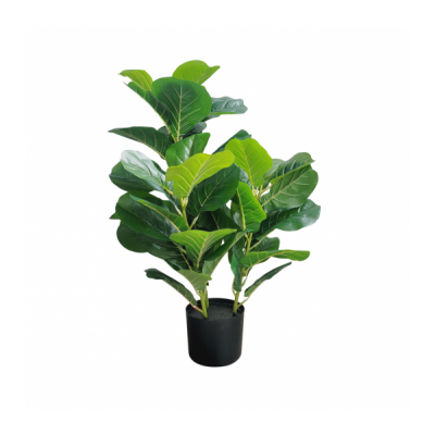 planta arbol 80 cm  2753