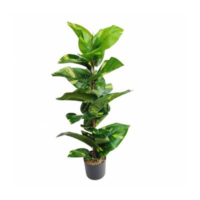 planta arbol 80 cm 2767