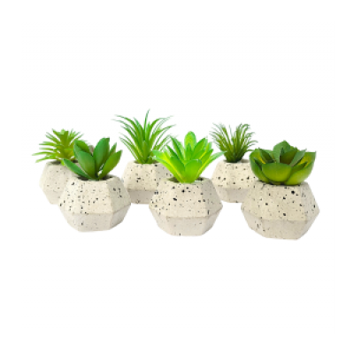 Planta maceta c/suculenta 3238