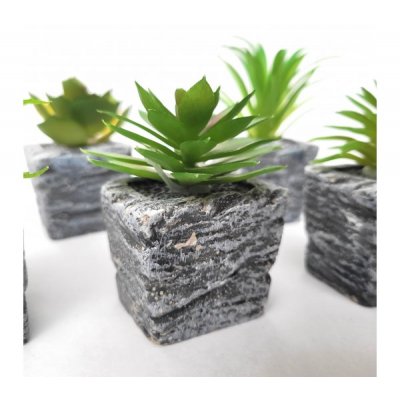 Planta maceta c/suculenta 3240