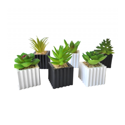 Planta maceta c/suculenta 3256