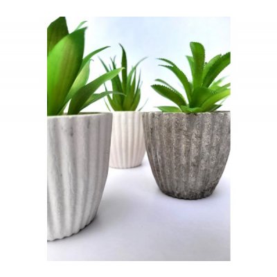 Planta maceta c/suculenta 3263
