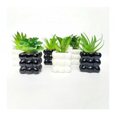 Planta maceta c/suculenta 3283
