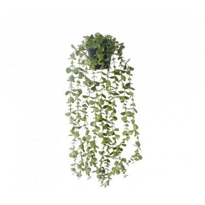 Planta colgante c/maceta 60cm 3538