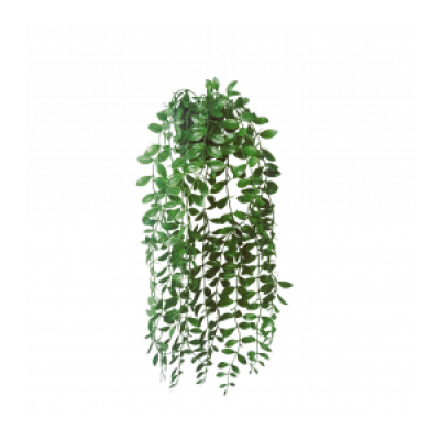 planta colgante  65cm  golx 3672