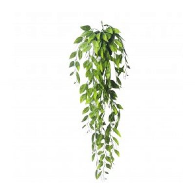 planta colgante 70cm 3674