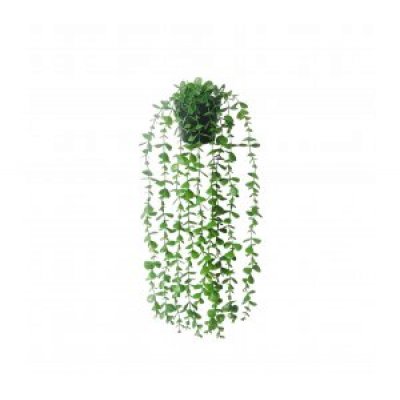 planta colgante c/ maceta 60 cm 3677