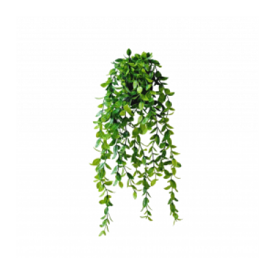 planta colgante 60 cm 3678