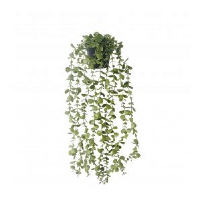 Planta colgante c/maceta 60cm 3679