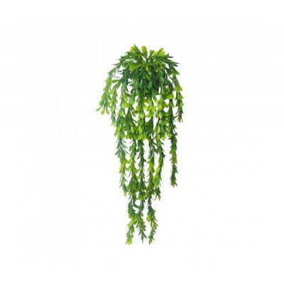 Planta colgante 60cm 4077