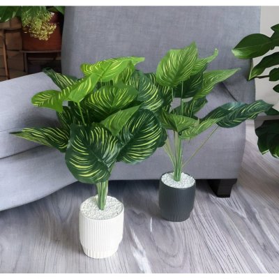 planta c/maceta ceramica 50 cm 2560