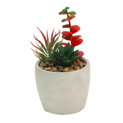 Planta artificial cactus rojo 5210