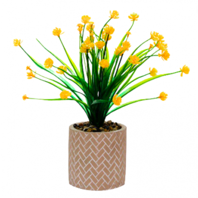 Planta Yellow 7054