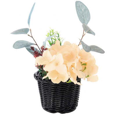 planta mix eucalptos 7062