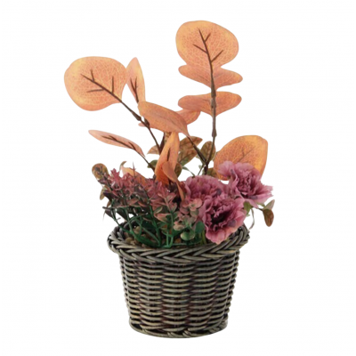 planta eucalipto 7063