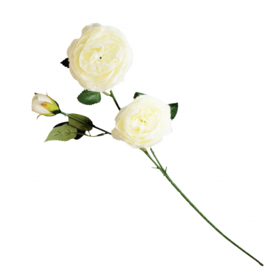 Vara flores rose white 65 golx 2488