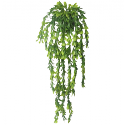 Planta colgante 60 cm golx 2738