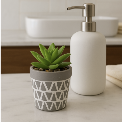 Planta maceta suculenta golx 2678