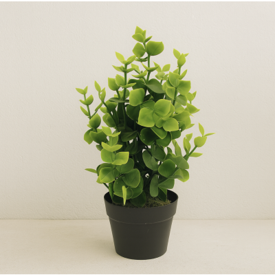 Planta Maceta arbolito 20 cm 3553