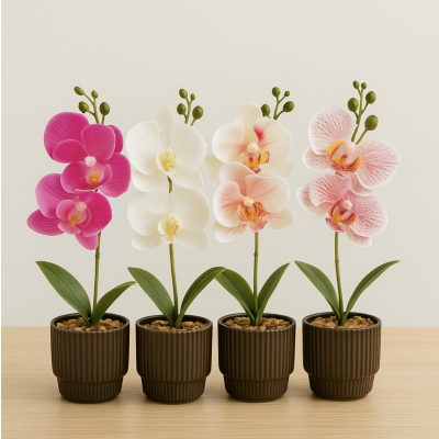 Planta maceta orquidea 36 3541