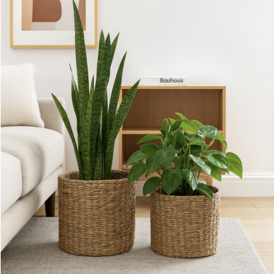 Contenedores cilindricos seagrass set x2 07967