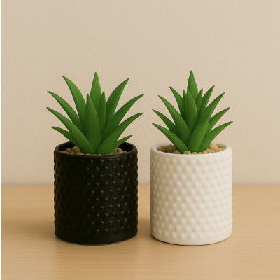 Planta maceta suculenta 3637