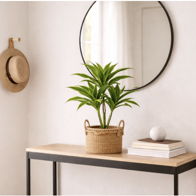 Planta maceta arbol 50 cm 3462